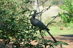 0207-Reis Zuid-Afrika2007